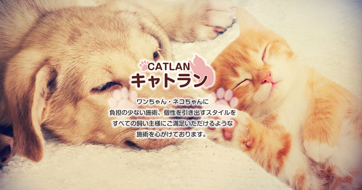 キャトランの外観